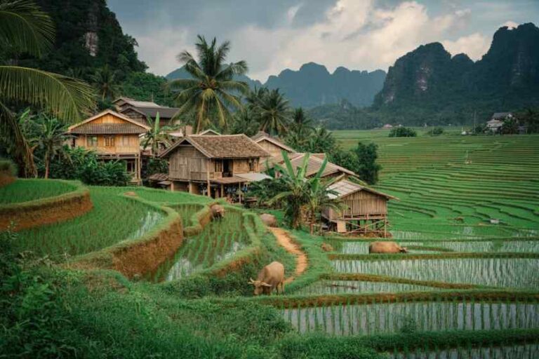 Terraced rice paddies surround a village of wooden huts, with palm trees and distant green mountains in the background.