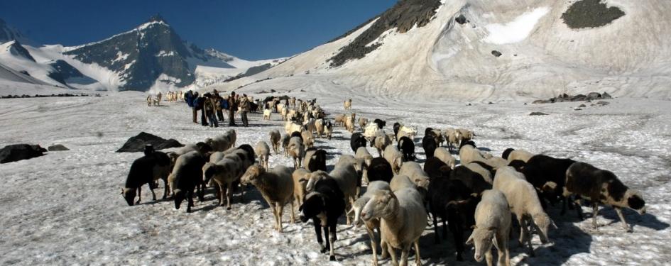 Discovering Himachal Pradesh: The Pinnacle of Mountain Travel in 2026