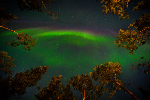 Experience the Magic of Aurora Borealis in North America: Your Guide to an Unforgettable Travel Adventure