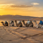 Experience the Rapid Growth of Tourism in Morocco’s Western Sahara