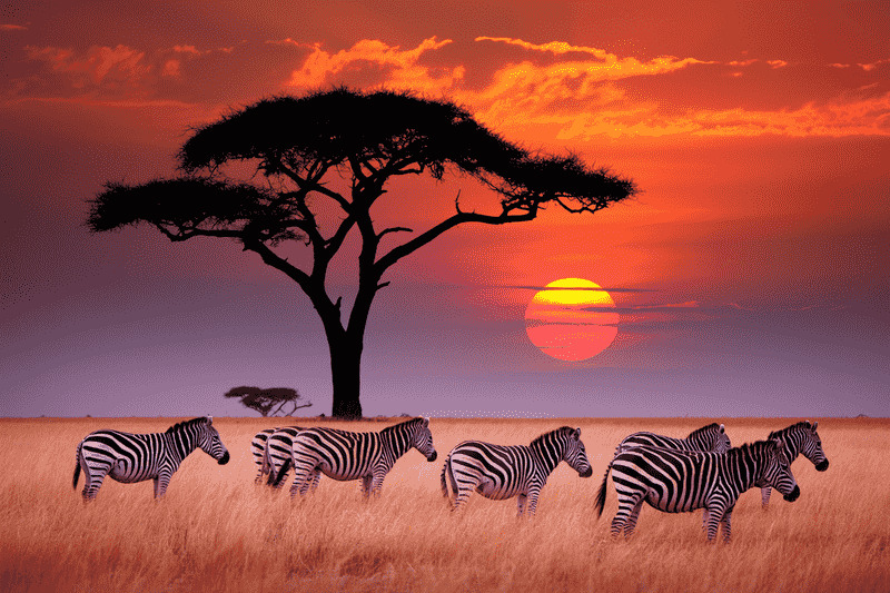 Brazil and African Nations Unite to Elevate Kenya’s Tourism in 2026