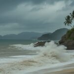 Emergency Alert Issued for Phuket Beaches: Portuguese Man-of-War Wash Ashore During Monsoon Season