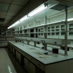 Rethinking Career Paths: The Shift of Foreign Scientists from the USA to Asia and Europe