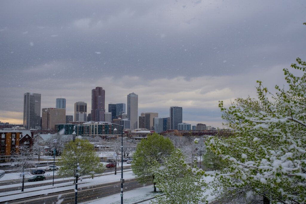 Snowy urban skyline with tall buildings and snow-covered trees in the foreground as snowflakes fall.