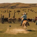 Wisconsin Enhances Agritourism with New Digital Destinations Pass