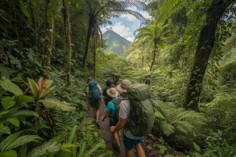 Group of hikers with large backpacks marching along a narrow jungle trail surrounded by dense green foliage, mountains in the distance.