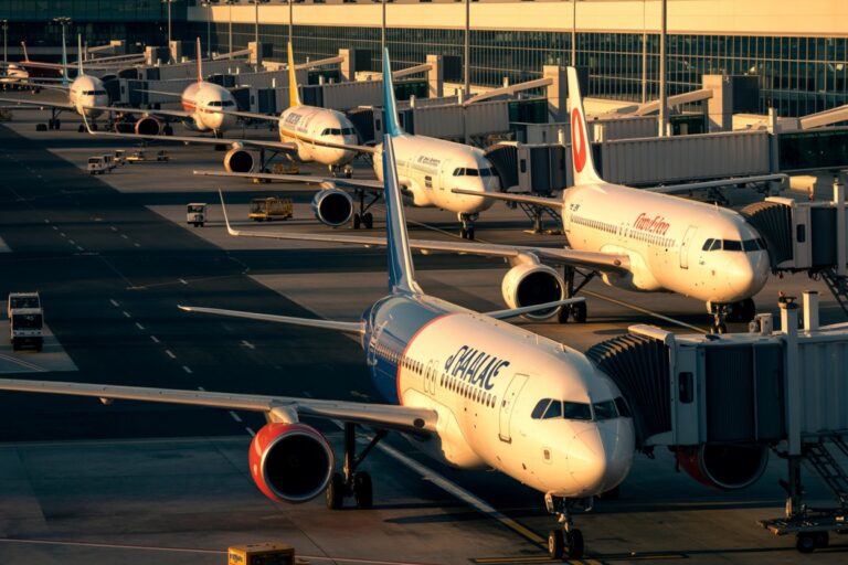 Fleet of airplanes parked at gates with jet bridges at a sunny airport tarmac