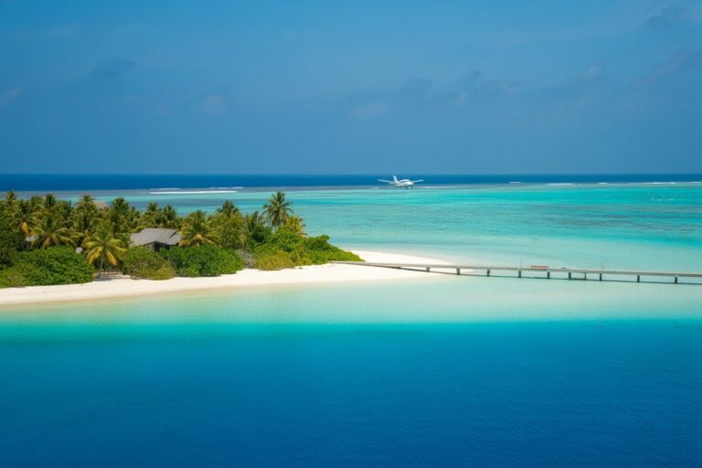 Tropical island with palm trees, white sand, and a wooden pier extending into turquoise water; a plane flies over the sea.