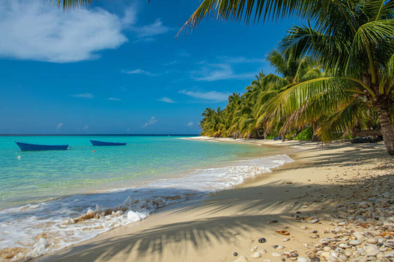 Tropical beach with turquoise waves, white sand, and palm trees lining the shore under a bright blue sky, with two small blue boats floating near the water's edge.