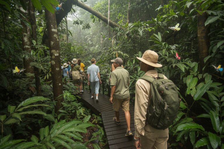 Group of hikers walking along a wooden boardwalk through dense tropical rainforest, backpacks on, as butterflies flutter around.