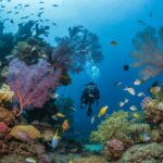 Discover North Bali: A Diver’s Paradise Awaits