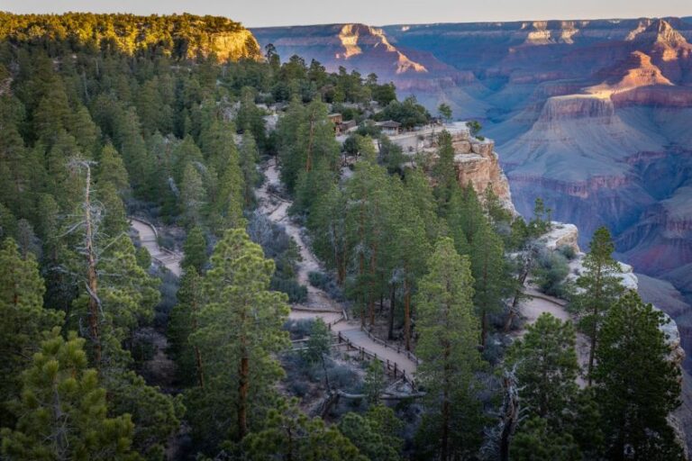 Overlook at the Grand Canyon with evergreen trees on a rocky rim and a winding wooden trail along the edge — sunset lighting in the distance