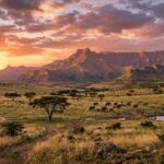 Discover the Thrill of Murchison Falls National Park: A Premier Destination for Adventure Seekers