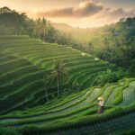 Bali’s Strategic Shift: Embracing Sustainable Tourism in 2026