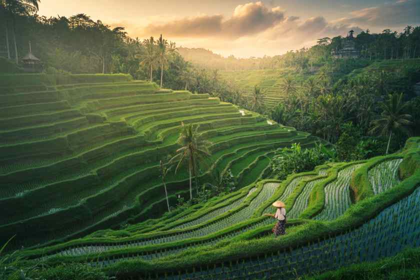 Bali’s Strategic Shift: Embracing Sustainable Tourism in 2026