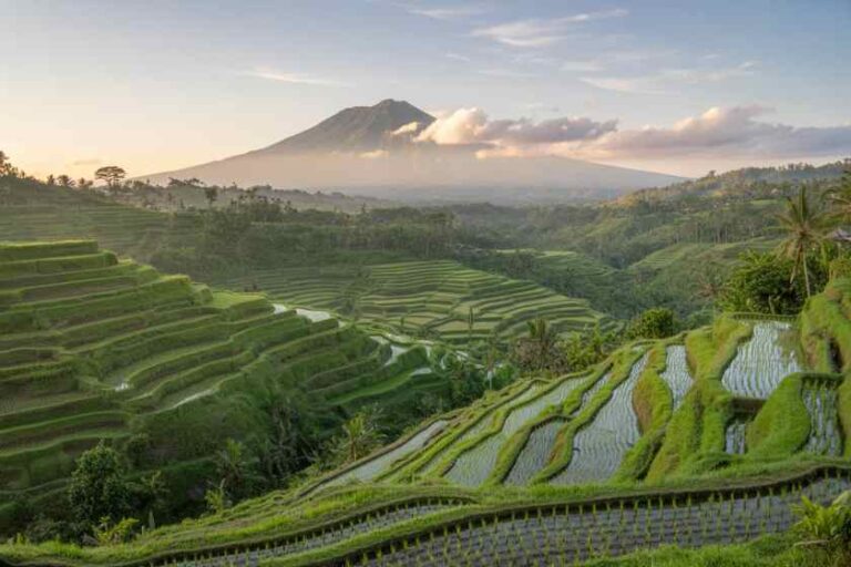 Terraced rice fields cascading down hills with a distant volcano on the horizon at sunrise.