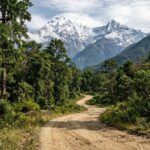 Bardiya National Park: Leading the Charge in Sustainable Travel Through Community Empowerment in Nepal