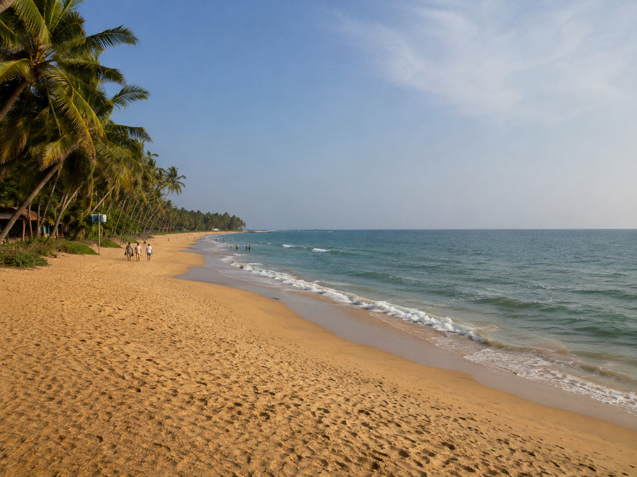 Exploring Blue Flag Beaches: A New Era for Coastal Tourism in India