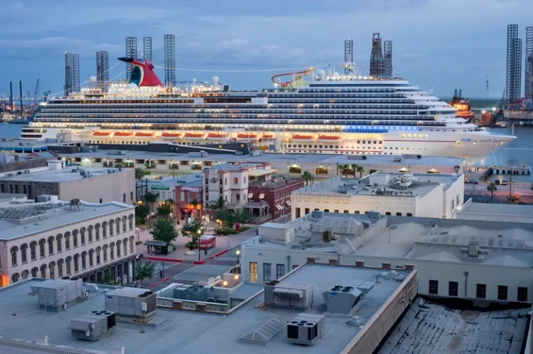 Large cruise ship docked at a harbor, with low-rise buildings and streets in the foreground.