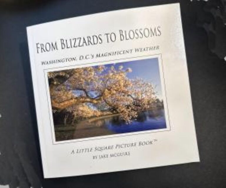 Cover of a book titled 'From Blizzards to Blossoms' showing a framed landscape photo of flowering trees by a lake