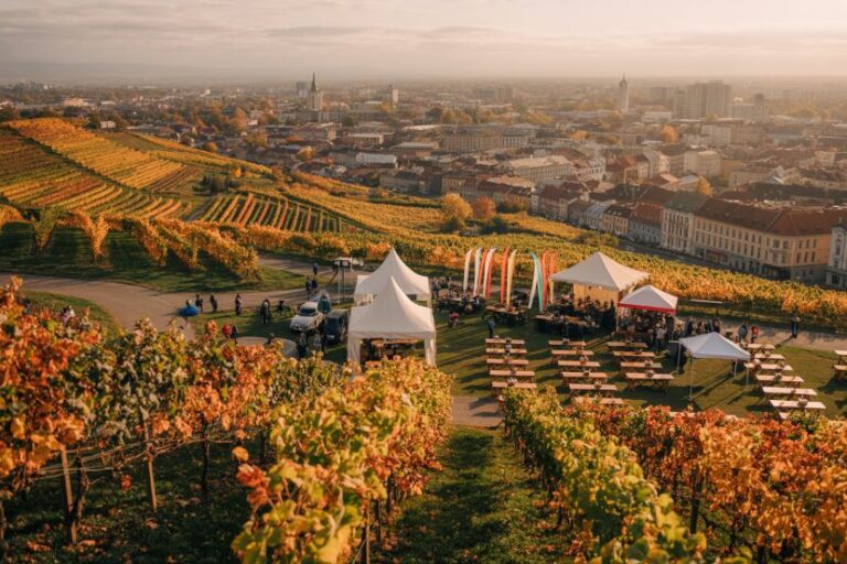 Outdoor festival in a vineyard hillside with white tents, long rows of benches, colorful banners, and a distant cityscape.