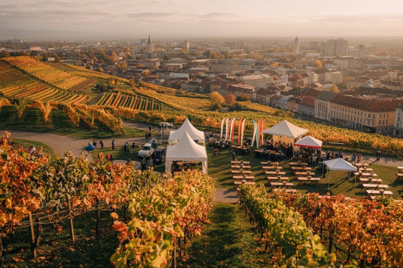 Moldova’s National Wine Day: Celebrating 25 Years of Wine Excellence