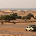 Saudi Arabia’s Vision for 2026: Becoming a Premier Wildlife and Eco-Tourism Hub
