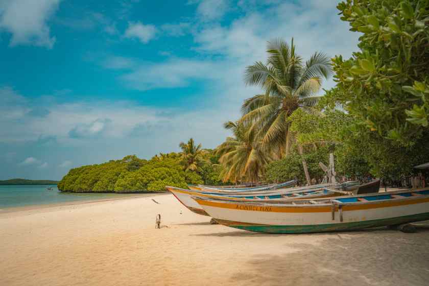 Essential Travel Advisory for Gambians Amid US Visa Overstay Concerns