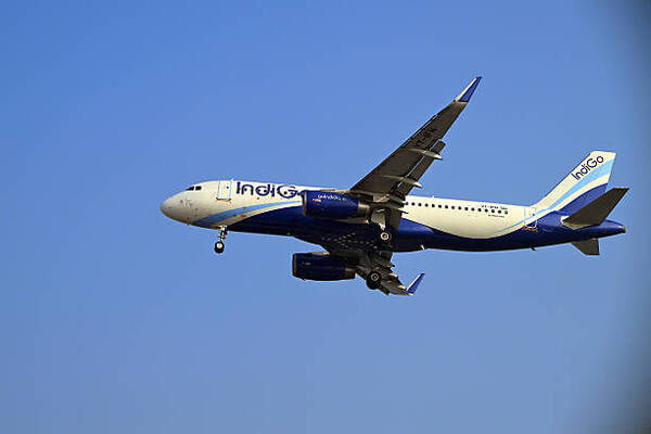 IndiGo Shares Plummet Amid Government Appeal for Responsible Travel Practices