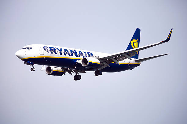 Ryanair Boeing 737 in blue and yellow livery, landing with gear down against a pale sky