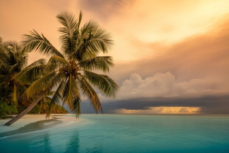Tropical beach with palm trees, turquoise water, and a golden sunset sky.
