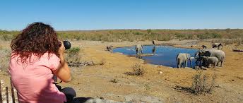 Person with a camera photographing elephants at a watering hole in a dry savannah.