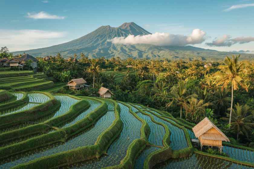 Indonesia Reviews Visa Policies Amid Rising Scam Concerns