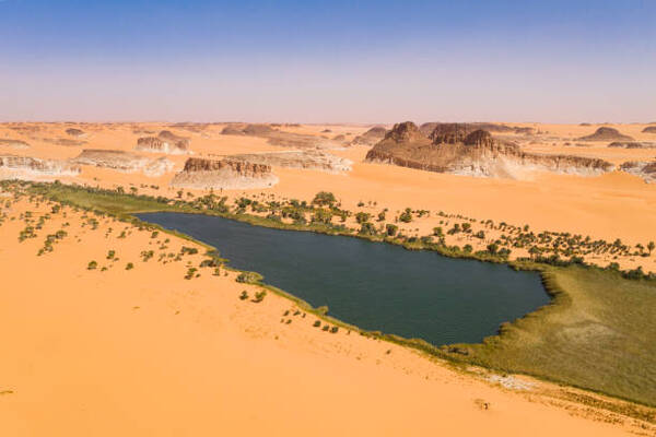 Chad Launches Innovative E-Visa Platform Set to Redefine Travel Accessibility by May 2026