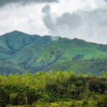 Boosting Tourism Safety: Kodagu Implements Strict Regulations for Homestays