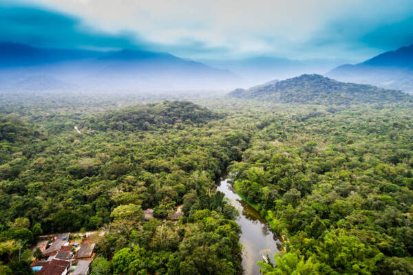 Aerial view of a dense tropical forest with a winding river and distant mountains on the horizon.