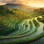 Discover Bali’s Stunning Jatiluwih Rice Terraces with the Exciting Fun Run