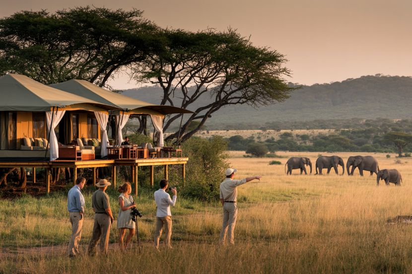 Discover Tulia Safari Lodges: The New Wave of Eco-Luxury in Zanzibar, Mauritius, and Beyond