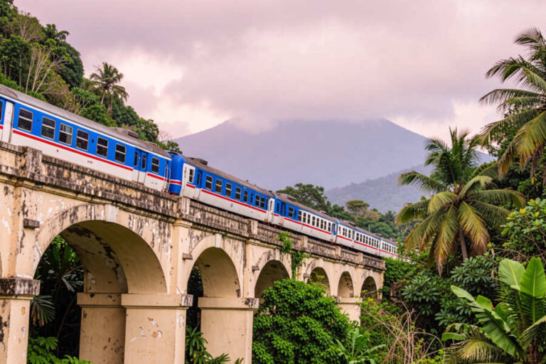 Train crossing a historic stone arch viaduct framed by lush tropical trees with distant mountains in the background.