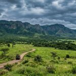 Experience Kenya’s Maasai Mara: The Ultimate Winter Safari Escape