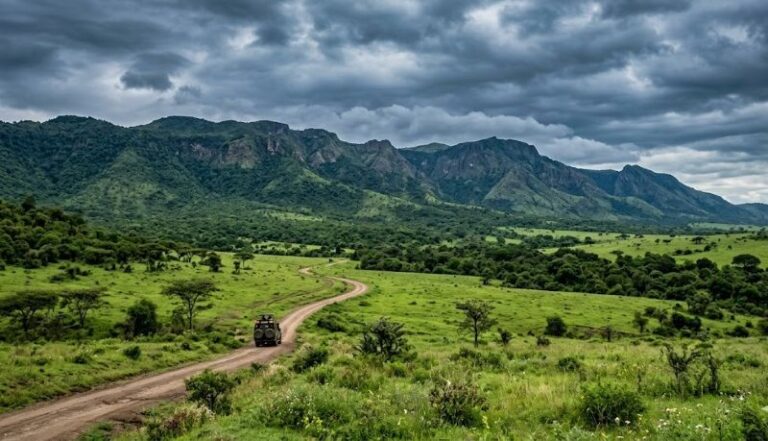 Dirt road winds across a green savanna toward rugged mountains under a cloudy sky; a jeep travels along the path.