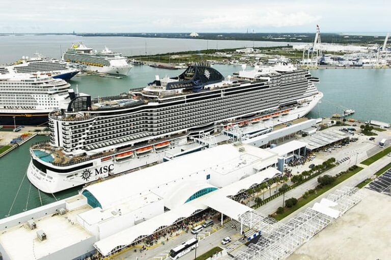 Aerial view of a large MSC cruise ship docked at a port with several other ships nearby and terminal buildings in the foreground