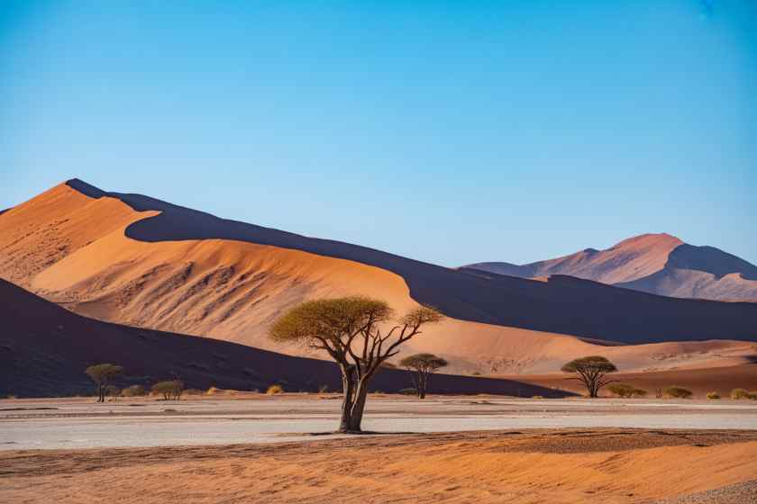 Exciting News for Travelers: Edelweiss Air to Boost Flights to Windhoek, Namibia!