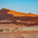 Navigating Fuel Shortages in Namibia’s National Parks: A Guide for Safari Travelers in 2026