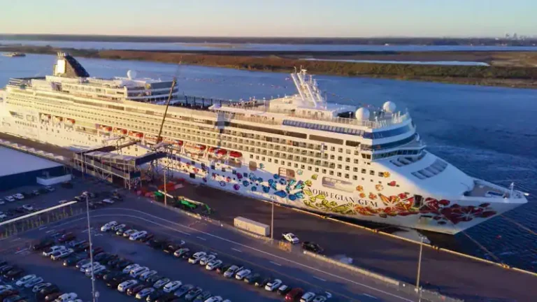 Large white cruise ship docked at a port, colorful butterfly artwork on its hull, with parked cars and lanes nearby.