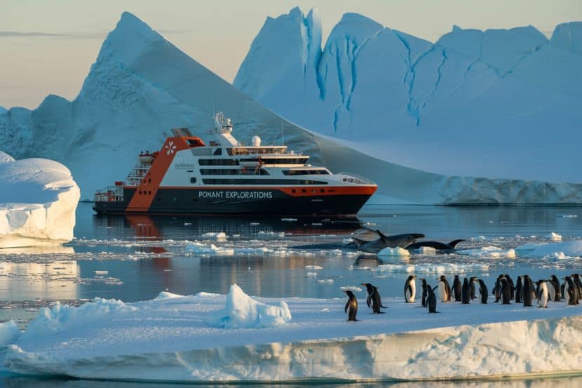 Discover Exclusive 2028 Cruises with Smithsonian Journeys and PONANT Adventures