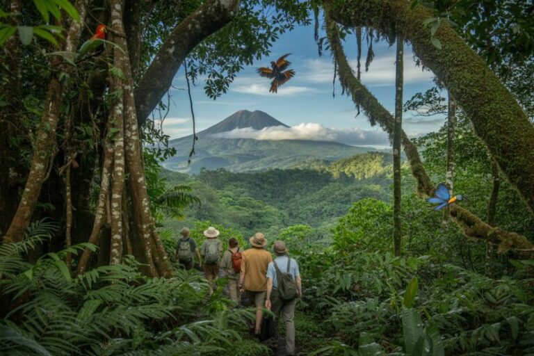 Group of hikers walking through a dense jungle toward a distant volcano under a blue sky with clouds and birds in flight.