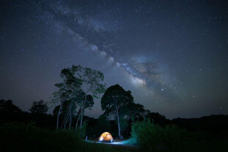 Night scene of a glowing orange tent beneath a star-filled sky with the Milky Way arching overhead among trees in a forest clearing.