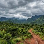 Explore the Ultimate 5-Day Tsavo & Amboseli Safari Experience in Kenya