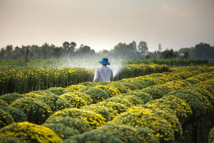 Global Initiatives to Combat Food Waste through Six Senses Partnership with UNEP and UN Tourism